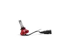 F4 Fusion LED Headlight and Fog Light Bulbs - 9005 / H10