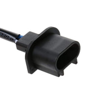 HID BI-XENON Harness