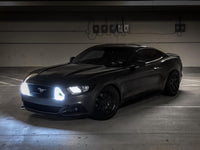 Ford Mustang GT White Amber Switchback DRL grille kit (2015-2017)